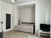 Pronájem bytu 1+kk, Praha - Nusle, Na bitevní pláni, 40 m2
