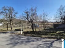 Prodej zahrady, Ptení, 967 m2