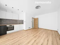 Pronájem bytu 1+kk, Ostrava, Resslova, 23 m2