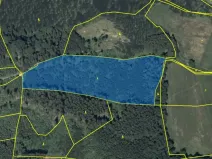 Pronájem pole, Dlouhá Třebová, 23172 m2