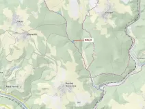 Dražba lesa, Jílové u Držkova, 2349 m2