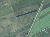 Prodej sadu/vinice, Hovorany, 3926 m2