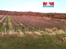 Prodej pole, Sedlec, 9215 m2