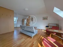 Pronájem bytu 1+kk, Bílovice nad Svitavou, Šebelova, 51 m2