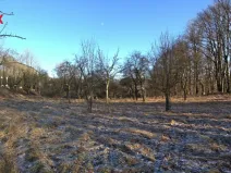 Prodej pozemku pro bydlení, Březnice, 1860 m2