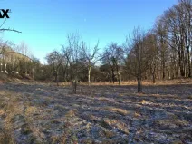 Prodej pozemku pro bydlení, Březnice, 1860 m2