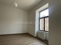 Pronájem bytu 1+1, České Budějovice - České Budějovice 6, Žižkova tř., 47 m2