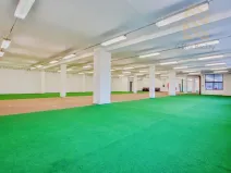 Pronájem obchodního prostoru, Polepy, 1200 m2