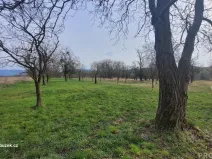 Prodej zahrady, Bystřice pod Hostýnem, 1250 m2