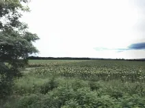 Prodej pole, Vranovice, 8591 m2