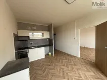 Pronájem bytu 1+1, Bílina - Teplické Předměstí, Sídliště Za Chlumem, 35 m2