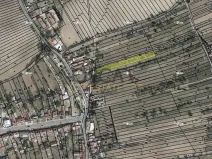 Prodej sadu/vinice, Hýsly, 1503 m2