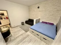 Pronájem bytu 1+kk, Praha - Nové Město, Krakovská, 36 m2
