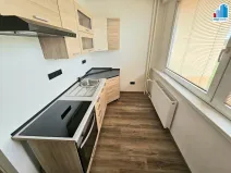 Pronájem bytu 2+1, Plzeň - Nová Hospoda, Krajní, 58 m2
