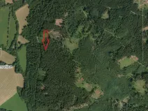 Prodej lesa, Petrovice u Sušice - Trsice, 18883 m2
