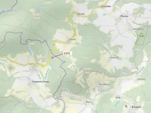 Dražba lesa, Vranová Lhota, 5978 m2