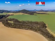 Prodej louky, Tachov, 12761 m2