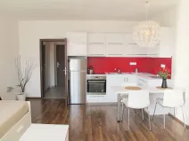 Pronájem bytu 1+kk, Praha - Nusle, Kloboučnická, 33 m2