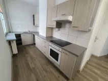 Pronájem bytu 2+1, Ústí nad Labem, Hornická, 55 m2