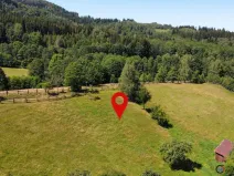 Prodej pozemku pro bydlení, Olešnice v Orlických horách, 4823 m2