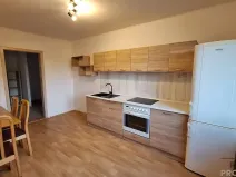 Pronájem bytu 2+1, Ústí nad Labem, Elišky Krásnohorské, 80 m2