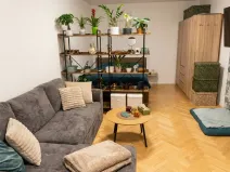 Prodej bytu 1+1, Olomouc - Nová Ulice, Pionýrská, 45 m2