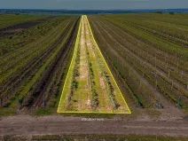 Prodej pole, Velké Bílovice, 3706 m2