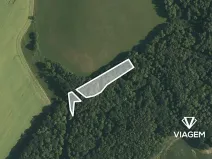 Prodej podílu lesa, Malhotice, 1965 m2