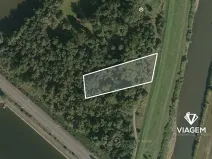 Prodej podílu lesa, Dětmarovice, 1487 m2