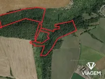 Prodej podílu lesa, Chlum, 8736 m2