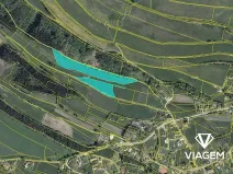 Prodej pole, Vysoká Srbská, 21336 m2