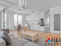 Pronájem bytu 2+kk, Ostrava, F. X. Riepla, 59 m2