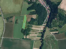 Prodej pole, Velatice, 8130 m2