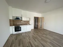Pronájem bytu 1+kk, České Budějovice, 33 m2
