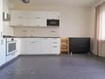 Pronájem bytu 3+kk, Praha - Žižkov, Biskupcova, 80 m2