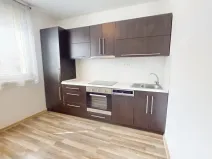 Pronájem rodinného domu, Ostrava - Mariánské Hory, Korunní, 37 m2