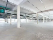 Pronájem skladu, Písek, U Vodárny, 4000 m2