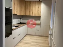 Pronájem bytu 2+kk, Ostrava, Opavská, 50 m2