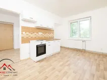 Pronájem bytu 1+1, Ostrava, Palackého, 45 m2