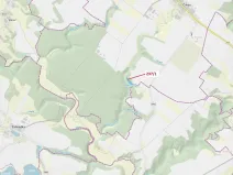 Dražba lesa, Čikov, 5885 m2