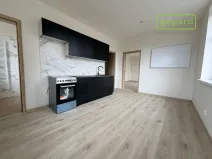 Pronájem bytu 1+1, Karlovy Vary, Moskevská, 49 m2