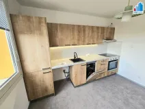 Pronájem bytu 1+1, Plzeň - Bolevec, Manětínská, 40 m2