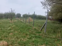 Prodej pozemku, Polom, 9766 m2