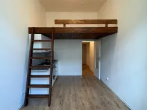 Pronájem bytu 1+kk, Ostrava - Přívoz, Palackého, 25 m2