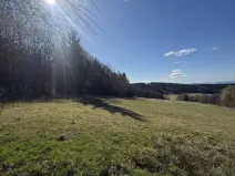 Prodej zahrady, Výprachtice, 1973 m2