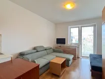 Pronájem bytu 1+kk, Brno, Mikšíčkova, 22 m2