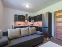 Pronájem bytu 2+kk, Staré Město, Mahenova, 45 m2