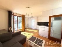 Pronájem bytu 1+kk, Praha - Záběhlice, Mattioliho, 45 m2