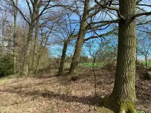 Dražba louky, Okrouhlá Radouň, 17482 m2