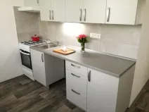 Pronájem bytu 2+1, Ostrava - Hrabůvka, Dr. Martínka, 50 m2